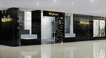 塑造卓越品牌形象 从企业VI设计到项目策划的全面策略